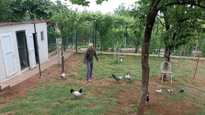 Girdiği Çiftlikte Hiçbir Şeye Dokunmayıp Çıkıp Giden Ayı Tedirgin Etti