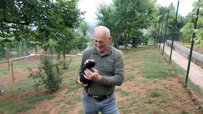 Girdiği Çiftlikte Hiçbir Şeye Dokunmayıp Çıkıp Giden Ayı Tedirgin Etti