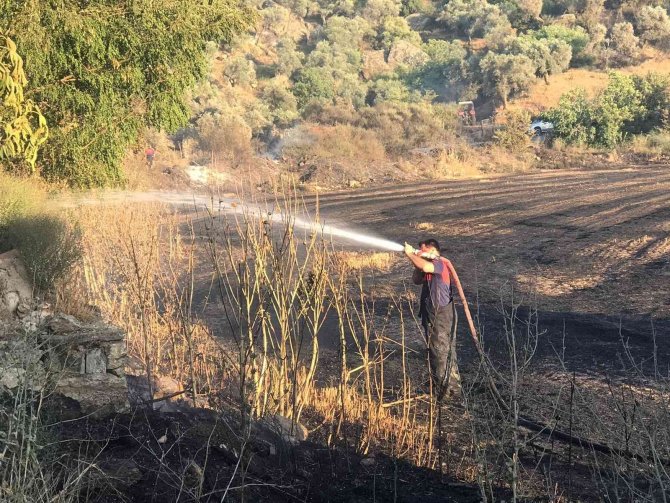 Buğday Tarlasında Çıkan Yangın Korkuttu