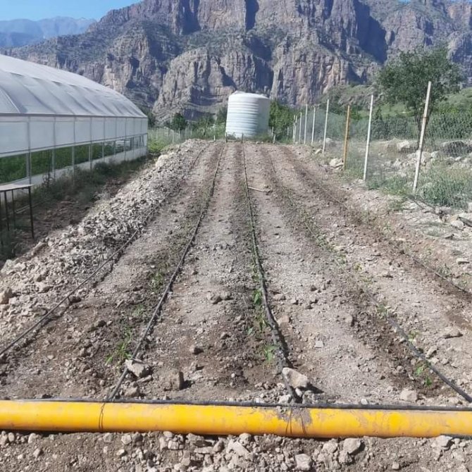Çukurca Belediyesi Vatandaşa Ucuz Sebze