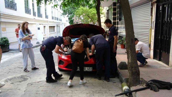 Beyoğlu’nda Otomobilin Motoruna Yavru Kedi Sıkıştı
