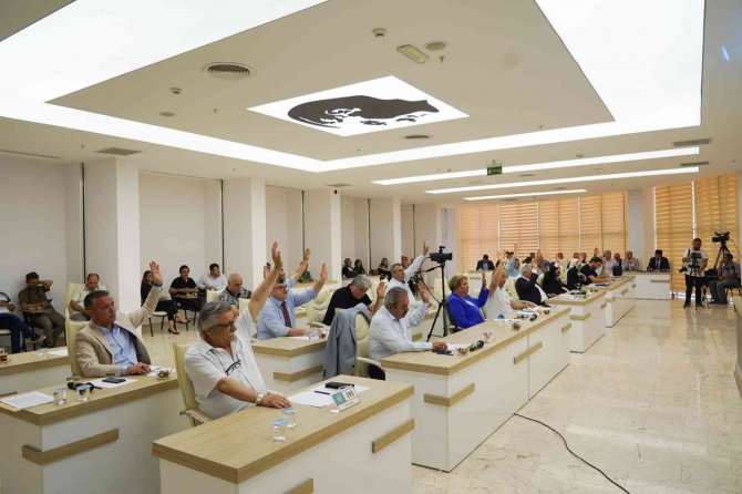 Bilecik’te Orta Refüjlere Toz Ve Egzoz Gazını Emen Nitelikte Bitkiler Ekildi