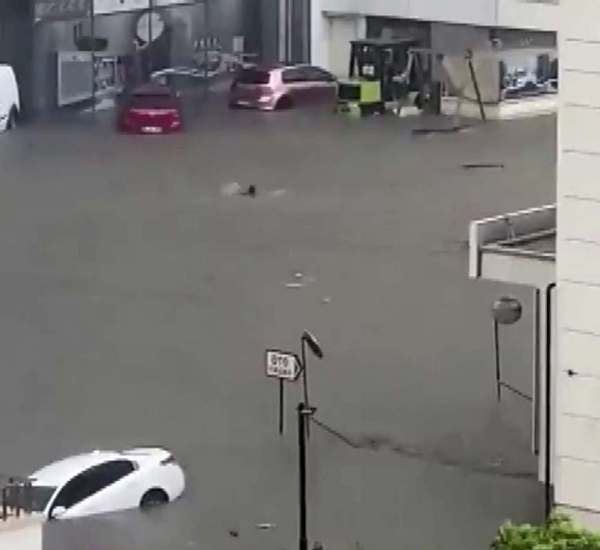 Başkent’teki Selden Yüzerek Kaçtı
