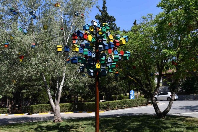 Değirmen Boğazı Kuşlara Yuva Oldu