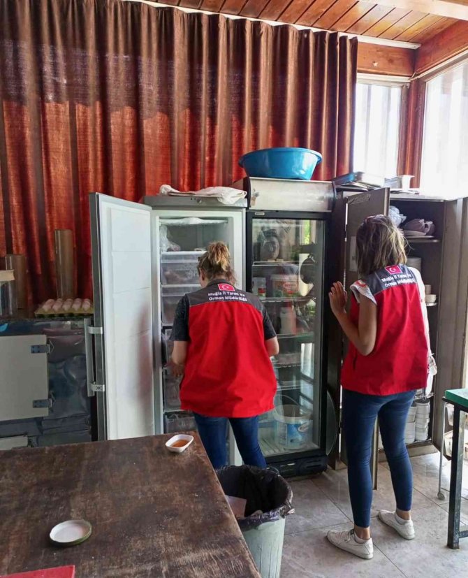 Gıda Güvenliği Gününde Eş Zamanlı Denetim