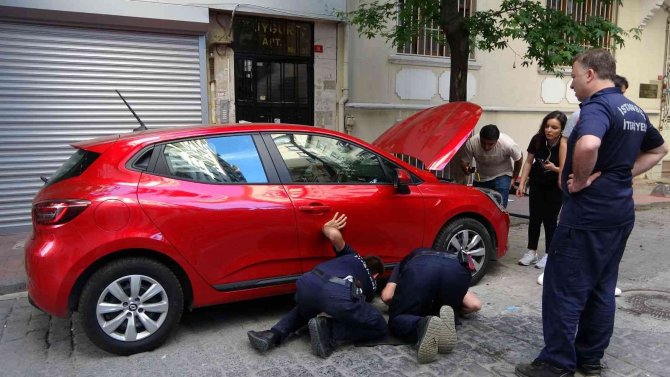 Beyoğlu’nda Otomobilin Motoruna Yavru Kedi Sıkıştı