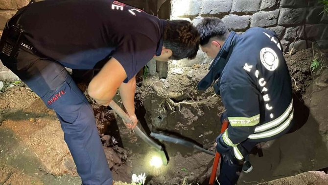 Yavru Kedi Gider Borusunda Sıkıştı, Ekipler Seferber Oldu