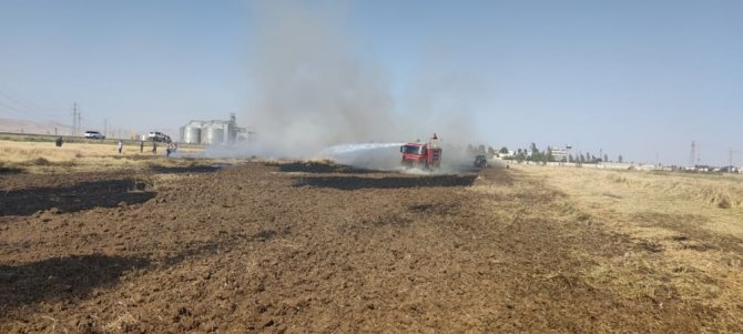 Mardin’de Buğday Ekili Arazide Yangın, 55 Dönüm Kül Oldu