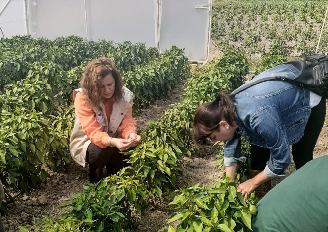 Seracıları Bilgilendirme Çalışmaları Devam Ediyor