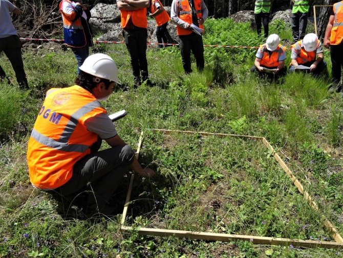 Simav’da Ağaçlandırma, Silvikültür Tatbikatı