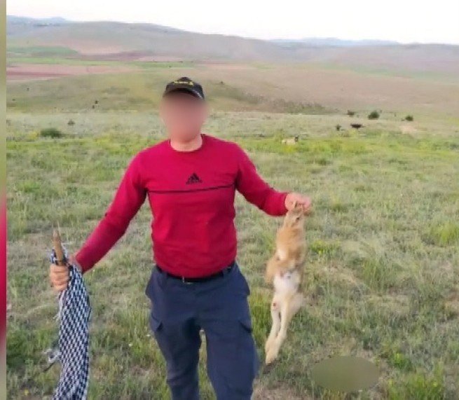 Vurdukları Tavşanı Köpeklere Parçalattırıp Sosyal Medyada Paylaştılar