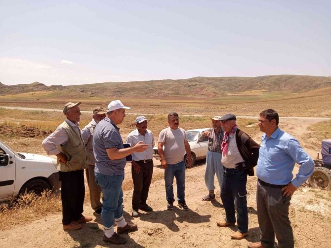 Sungurlu’da Ekili Arazileri Dolu Vurdu