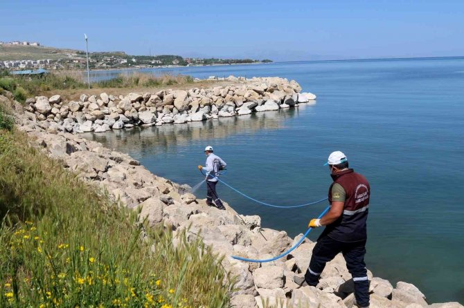 Van Büyükşehir Belediyesinin İlaçlama Çalışmaları Devam Ediyor