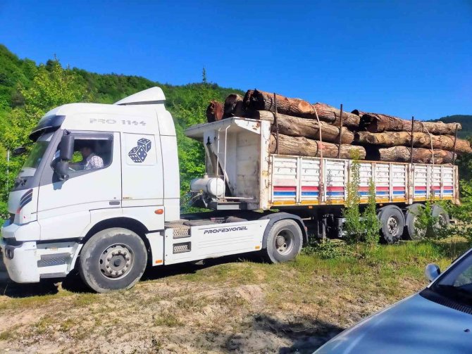 Asırlık Ceviz Ağaçları İhracatla Ekonomiye Kazandırılıyor