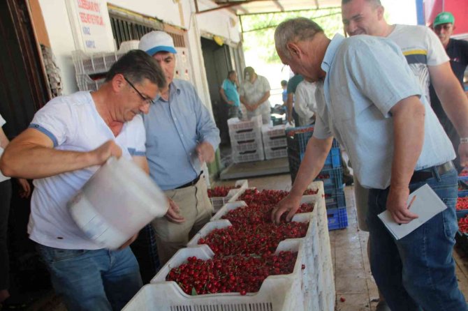 Bilecik’te 30 Yıldır Kurulan ’Kiraz Borsası’