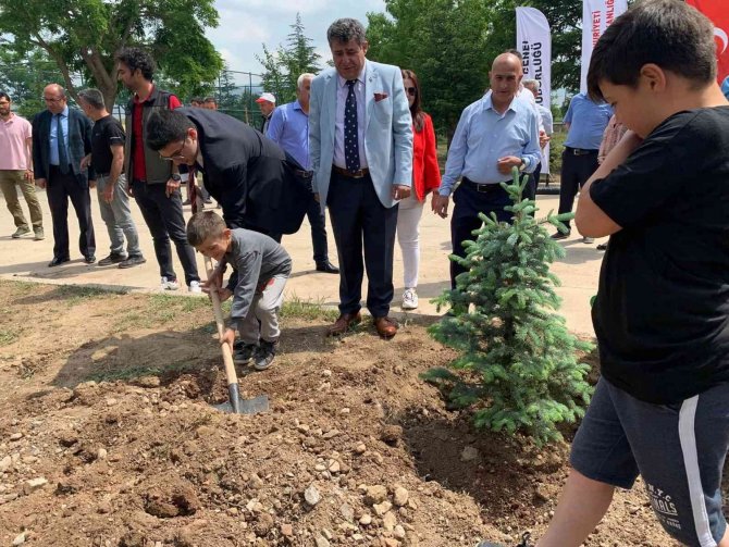 Çevre Haftası’nda Fidanlar Toprakla Buluştu
