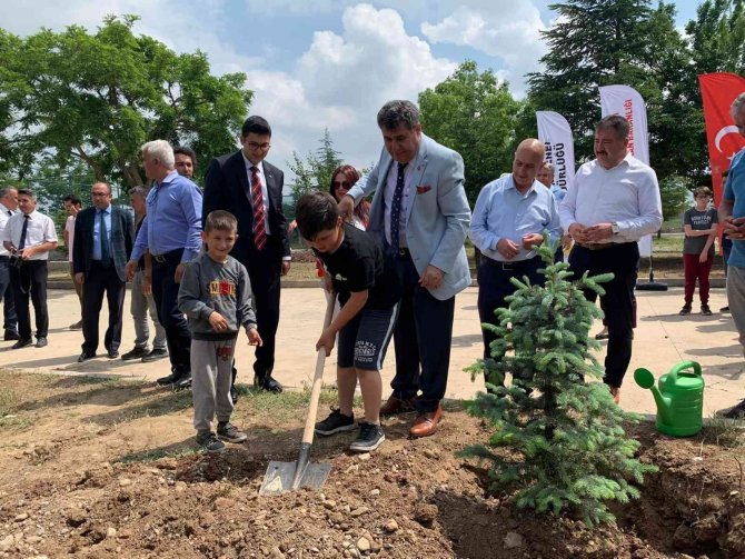 Çevre Haftası’nda Fidanlar Toprakla Buluştu