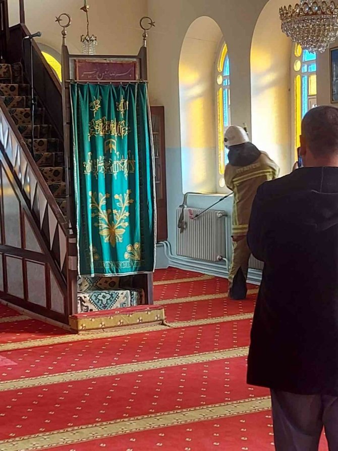 Camide Yılan Paniği
