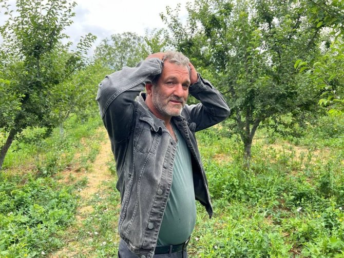Erik Tarlası Soyulan Çiftçiden Hırsıza Mesaj: "İ̇şçilik Güzel Kendisiyle Çay İçmek İstiyorum"