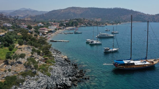 Bodrum’da Dünya Çevre Günü Etkinlikleri Sürüyor
