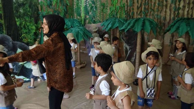 Amazon Ormanları Gercüş’te