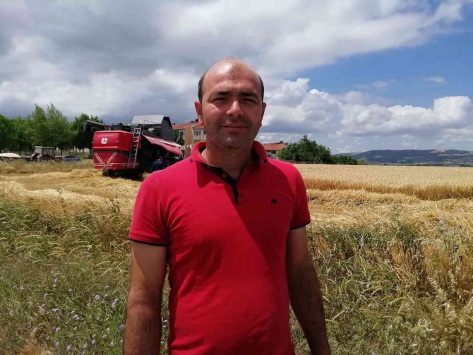 Manyas’ta Arpa Hasadı Başladı