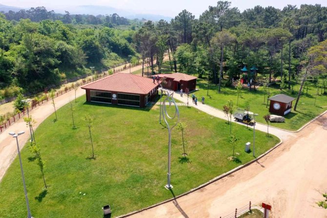 Miço Koyunda Yaz Hazırlığı Başladı