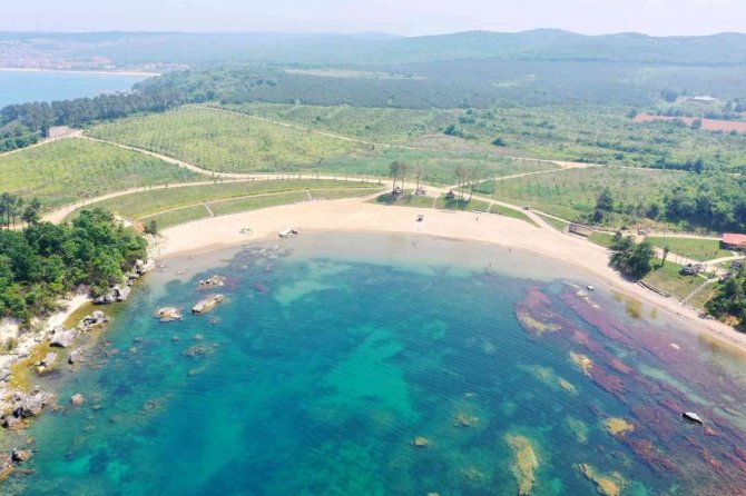 Miço Koyunda Yaz Hazırlığı Başladı