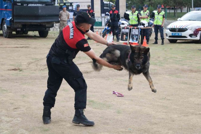 Jandarma Ekiplerinden Öğrencilere Meslek Tanıtımı