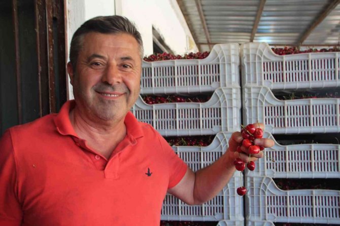 Bilecik’te 30 Yıldır Kurulan ’Kiraz Borsası’