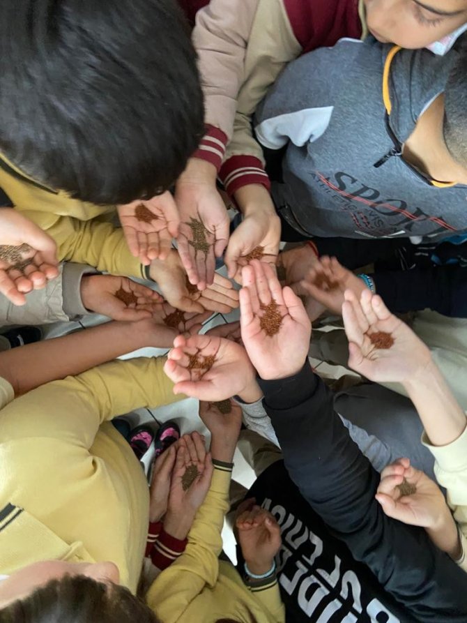 Yerli Tohum Milli Tarım Eğitimlerinden 20 Bin 406 Öğrenci Faydalandı