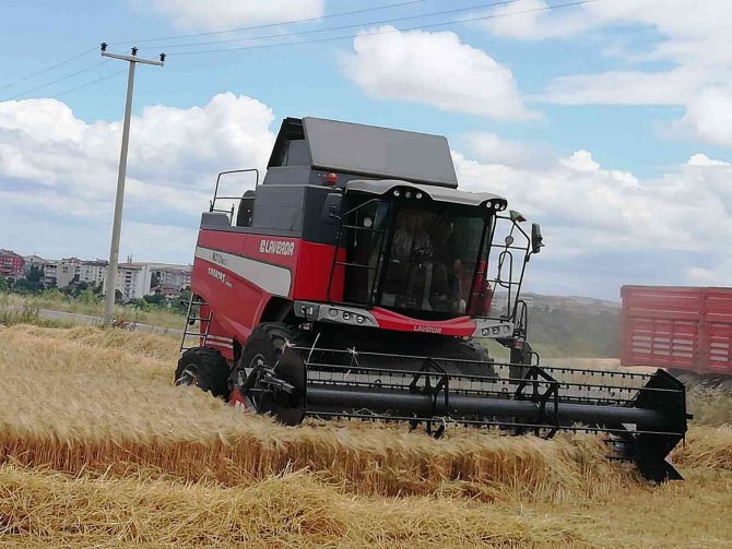 Manyas’ta Arpa Hasadı Başladı