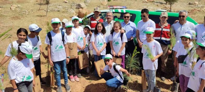 Mardin’de Fidanlar Toprakla Buluştu