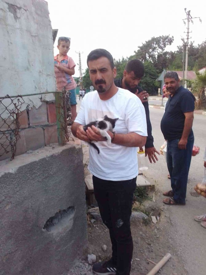 İ̇ki Duvar Arasında Sıkışan Kediyi Belediye Personeli Kurtardı