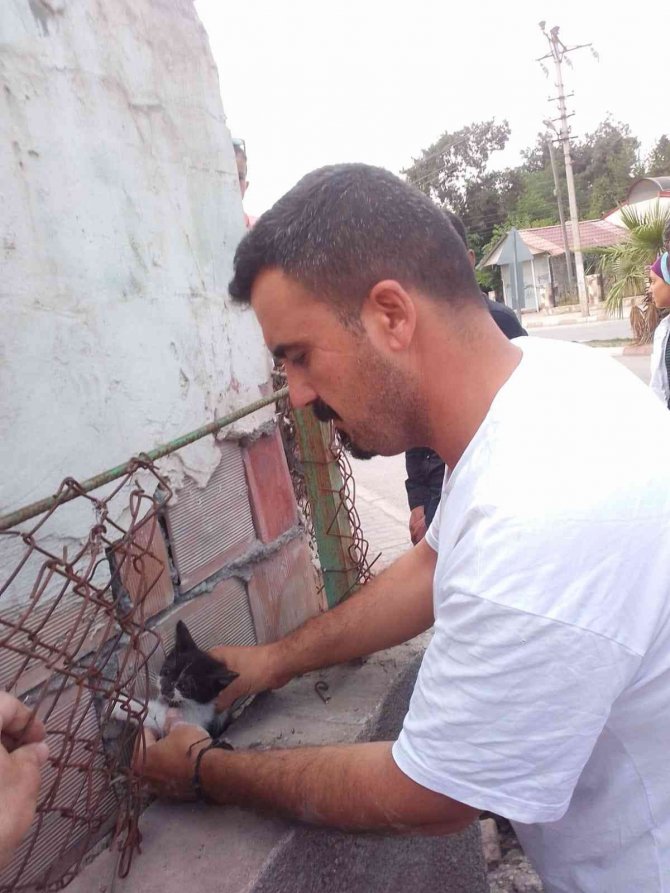 İ̇ki Duvar Arasında Sıkışan Kediyi Belediye Personeli Kurtardı