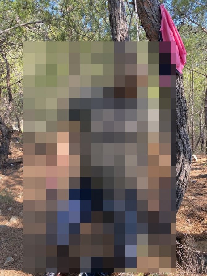 Belediye İşçisi Ağaçta Asılı Halde Bulundu