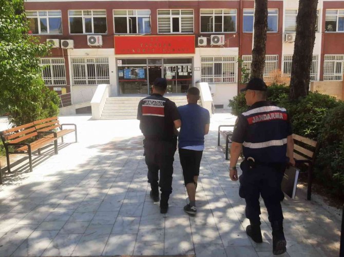 Ormanı Yakarken Yakalandı, Tutuklandı