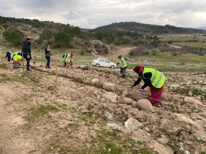 Sındırgı’da Bal Ormanı Kuruluyor