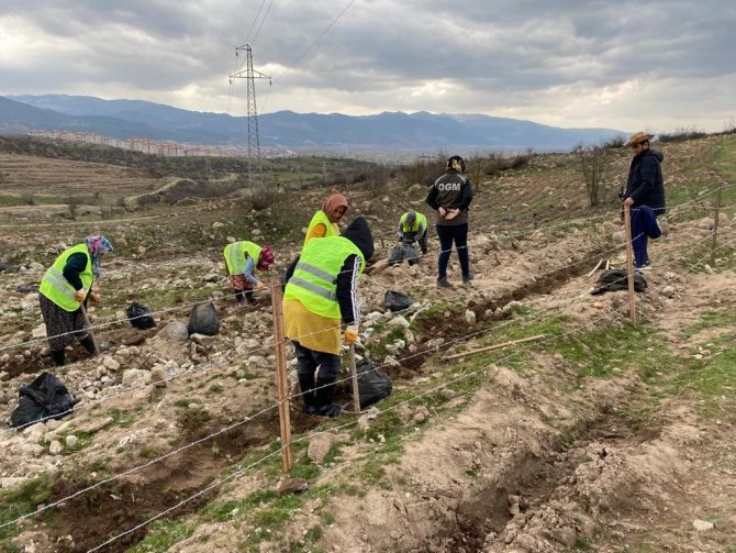 Sındırgı’da Bal Ormanı Kuruluyor