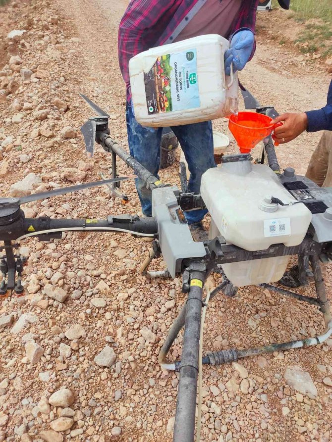 Elbistan Çiftçisi Zirai İlaçlamada ‘Dron’ Teknolojisi İle Tanıştı