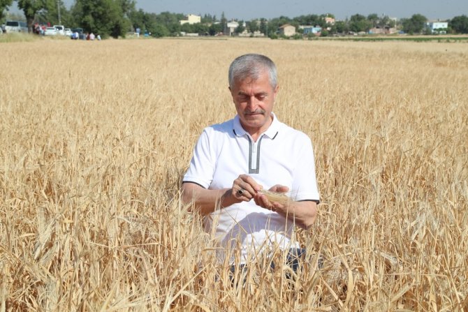 Tahmazoğlu Çiftçinin Hasat Sevincine Ortak Oldu