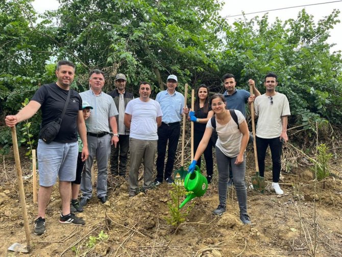 Tekirdağ’da Fidan Dikimi