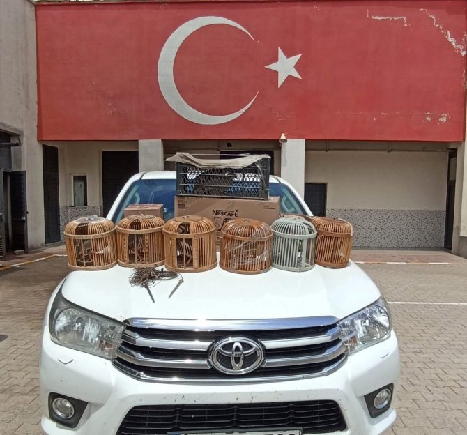 Çatak’ta Kafes Avcılığı Yapan 1 Kişi Jandarmaya Takıldı