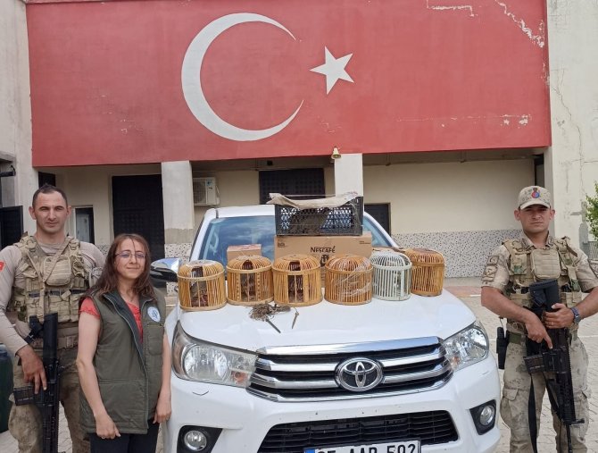 Çatak’ta Kafes Avcılığı Yapan 1 Kişi Jandarmaya Takıldı