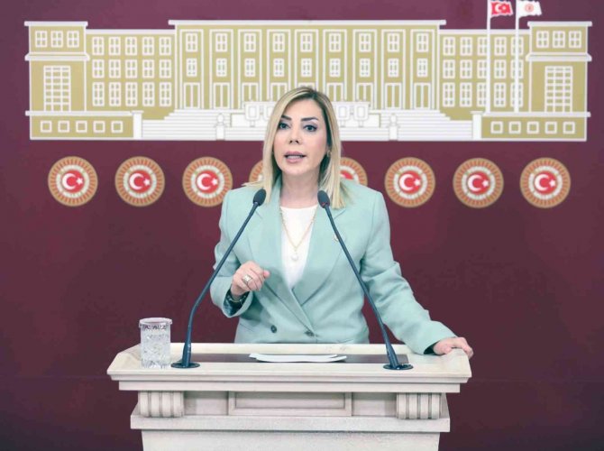Milletvekili Gökcan: “Muğla Sahipsiz Değildir”