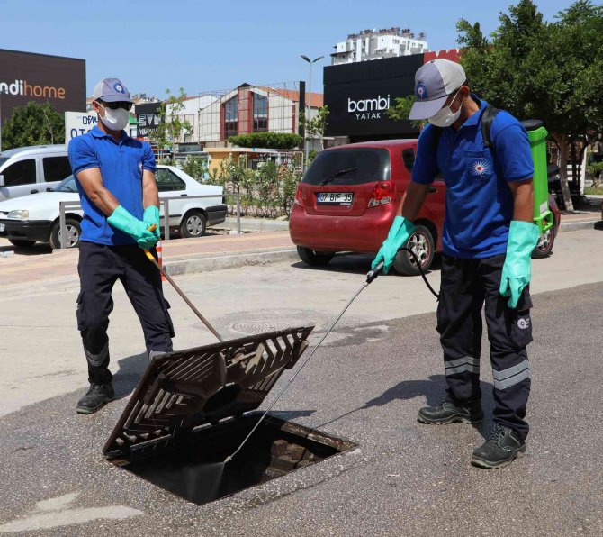 Sineksiz Yaz İçin Yoğun Mücadele