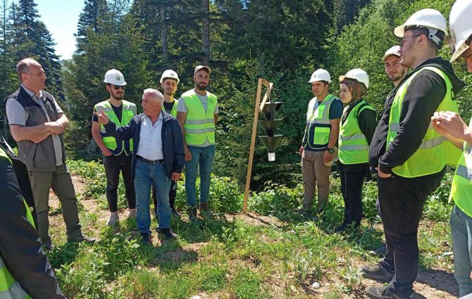 Ormancılık Dersini Ormanda İşlediler