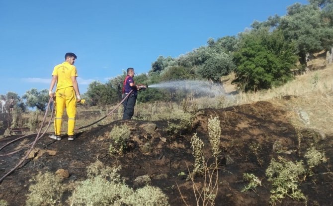 Koçarlı’da Zeytinlik Alanda Yangın