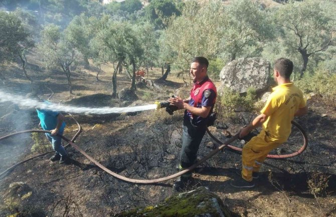 Koçarlı’da Zeytinlik Alanda Yangın