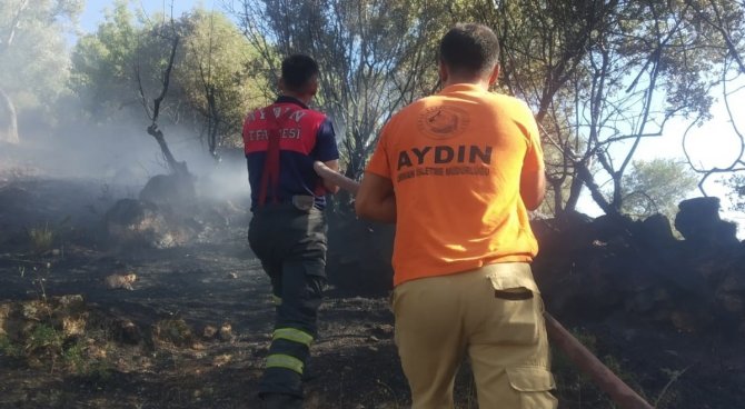 Koçarlı’da Zeytinlik Alanda Yangın